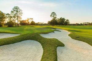 Photograph from The Clubs at Houston Oaks of their professional golf course.