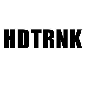 HoodTRONIK logo