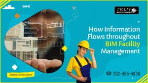 How Information Flows through BIM Facility Management?