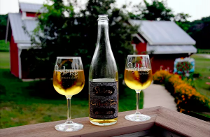 Slyboro Ciderhouse - The Cheese Tour, Washington County, NY