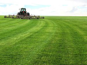 Sod for Eastern Idaho and Utah