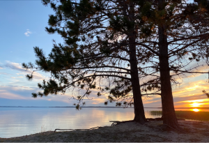 Eagle Lake Shoreline