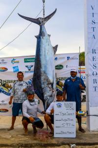 597 pound black marlin