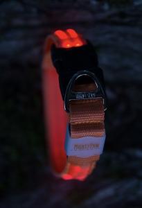 Close up image of the Mighty Paw Safety LED Dog Collar in orange