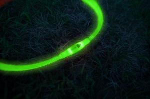 Close up image of Mighty Paw's Safety LED Dog Necklace in bright green