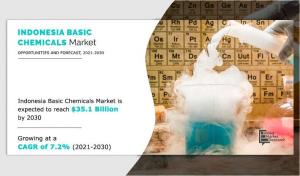 Indonesia Basic Chemicals Market