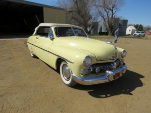Older restored, rare 1950 Mercury Convertible, yellow/cream with a white convertible top. Has a flathead V8 with 3-speed manual transmission and column shift.