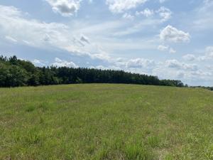 5 individual land parcels (Parcel #1: 9.59+/- acres; Parcel #2: 11.83+/- acres; Parcel #3: 15.32+/- acres; Parcel #4: 14.29+/- acres and Parcel #5: 26.94+/- acres) total 77.9 +/- Acres