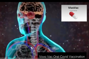 VivoVac Oral Vaccines does not require Cold Chain and is heat stable to 30 Degrees Celcius