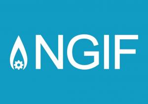 NGIF Logo