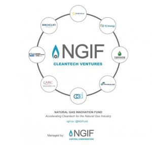 NGIF Cleantech Ventures Investors