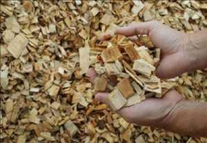 Wood Pulp Industry