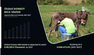 Donkey Milk Market