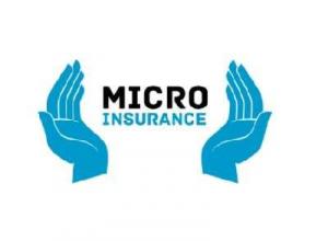Global Microinsurance Market Size 2021-2026