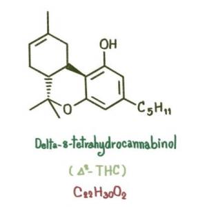 Buying Delta-8 THC Products in Florida, Leafy8 Brand