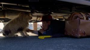 "POPOVICH: Road to Hollywood", Gregory Popovich and Dog Under Car (Stills from the film)
