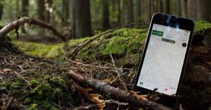 smartphone in the woods