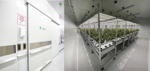 FarmaGrowers GMP Security for Medical Marijuana Flower