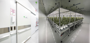 Grow Room Facility – FarmaGrowers, South Africa