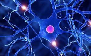 Regenerative Medicine Market