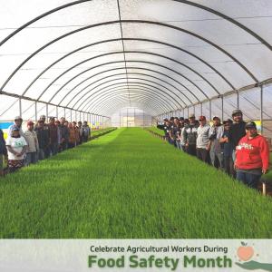 workers stand in a greenhouse with plant starts in front of them on tables