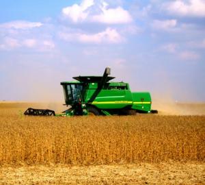 Photo field being harvested