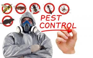 Pest Control Market