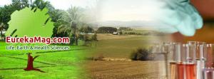 EurekaMag.com Banner