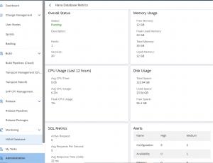ReleaseOwl Infrastructure monitoring for SAP HANA on Azure, AWS
