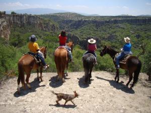 Horseback riding Guanajuato