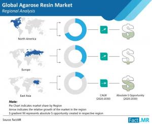 Agarose Resin Market