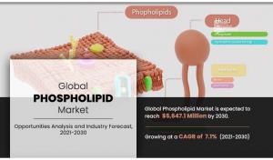 Phospholipid Market