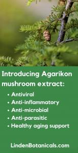 Laricifomes officinalis Extract (Agarikon Mushroom) Benefits - Linden Botanicals