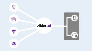 A gif moving image showing a rough diagram of the Sikka API Platform's connectivity capabilities.