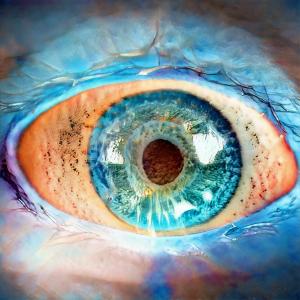 ADA:EYES #039