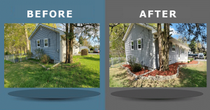 The Detail Guys Before and after of Landscaping