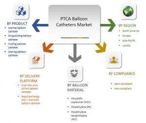 Percutaneous Transluminal Coronary Angioplasty (PTCA) Balloon Catheters Market