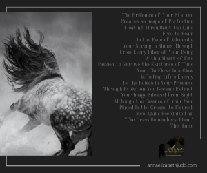 the horse, horse training, western books, the western novelist