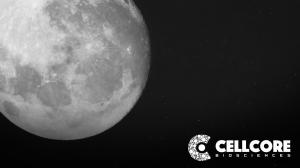 CellCore Full Moon Detox Challenge