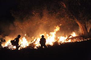 Wildfires burned uncontrolled with major insured losses