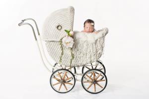 Baby Carriage Market Image, Baby Carriage Market Size, Baby Carriage Market Share