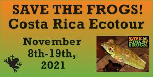 Save The Frogs Costa Rica Ecotour