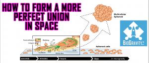 Cancer cell formation under microgravity
