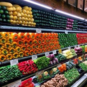 Europe Organic Food and Beverages Market