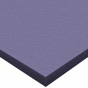Nylatron® 703XL PA6 from Interstate Plastics