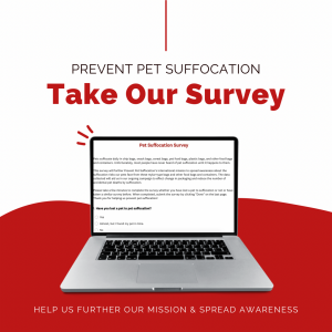 Image of a laptop with a Survey for Prevent Pet Suffocation on it