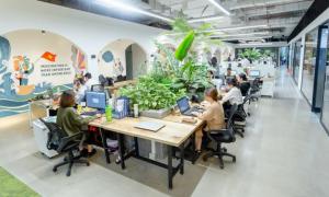 Công Ty Phong Thủy Văn Phòng: Hướng Thuê, Cách Trang Trí Hợp Phong Thủy