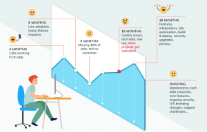 A typical application development cycle moves through a journey from 4 months to 36 months and beyond. That journey begins with building basic features which often achieve low adoption, as the application becomes more sophisticated bugs and faults can oc