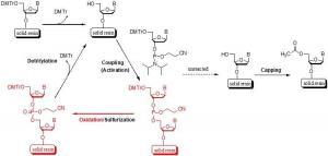 Oligonucleotide Synthesis Market