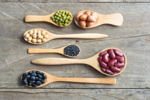 Plant Protein Market